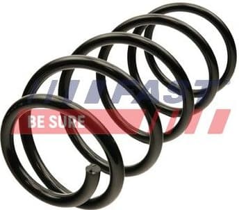Suspension Spring FT12293
