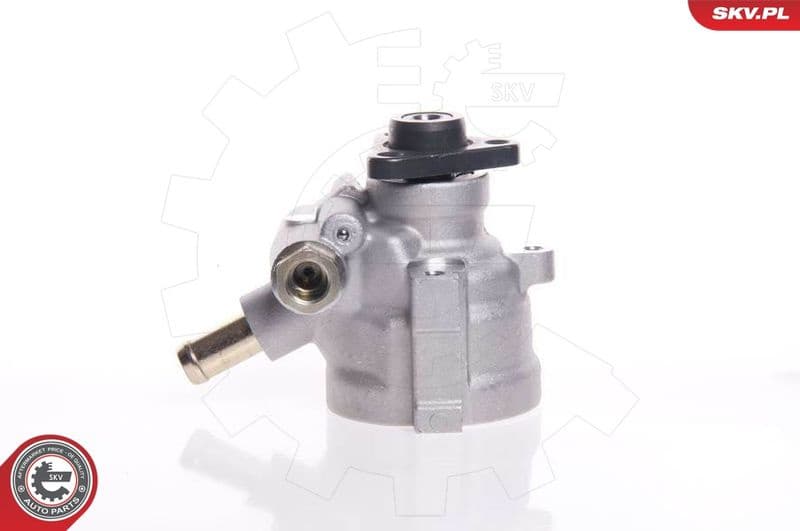 Hydraulic Pump, steering 10SKV007