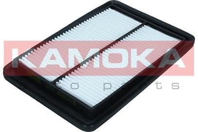 Air Filter F257501