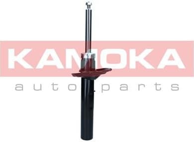 Shock absorber front 2001189