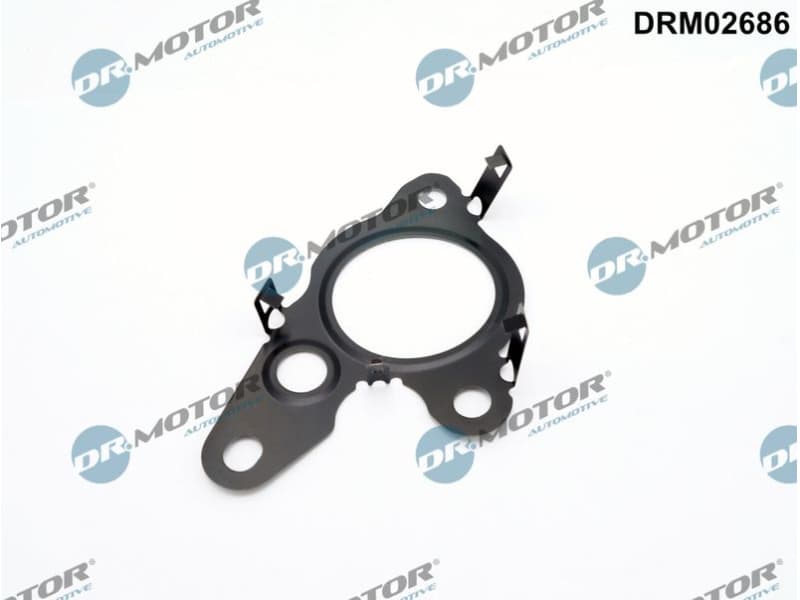 Gasket, EGR valve DRM02686