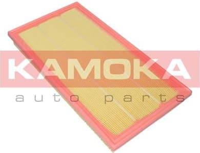 Air Filter F258301