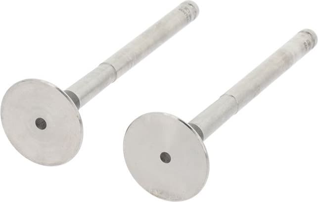 Exhaust Valve 550002B - image 3