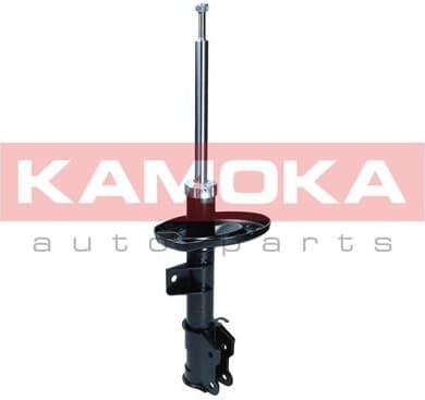 Shock Absorber 2001145