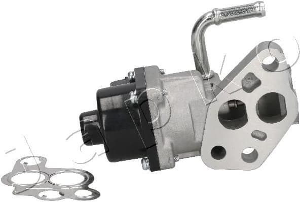 EGR Valve 1500307
