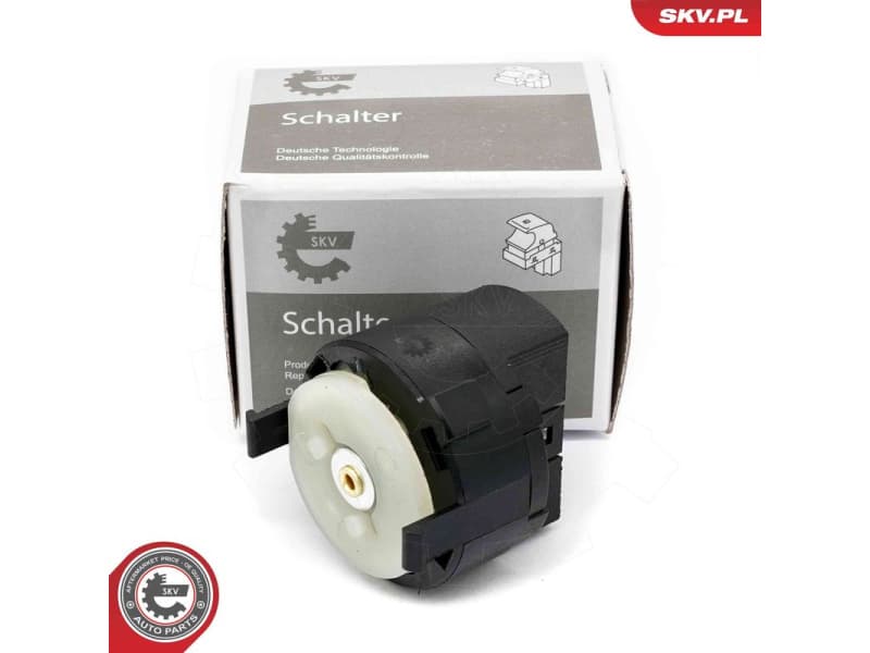 Ignition Switch 65SKV013
