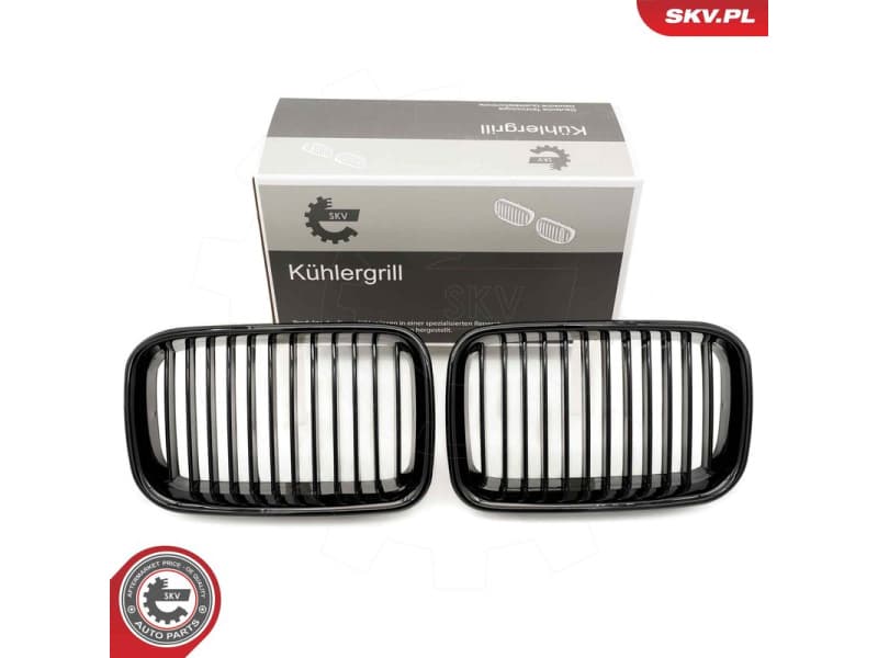Radiator Grille 66SKV043