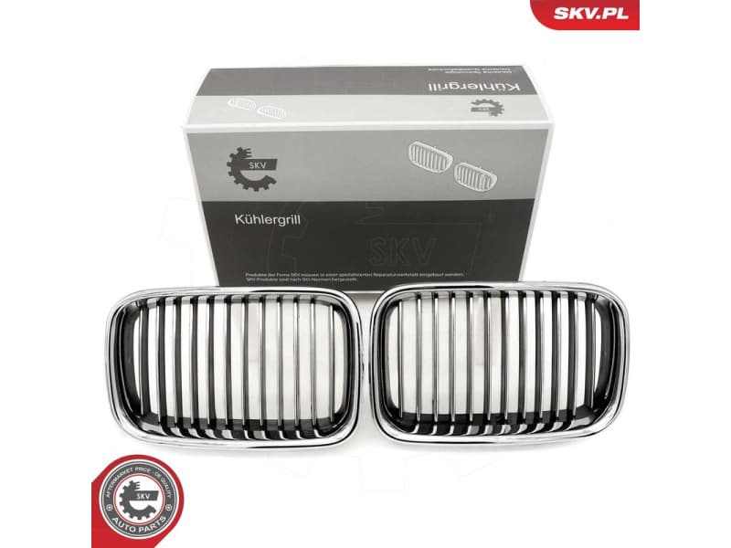 Radiator Grille 66SKV044