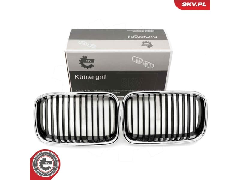 Radiator Grille 66SKV045