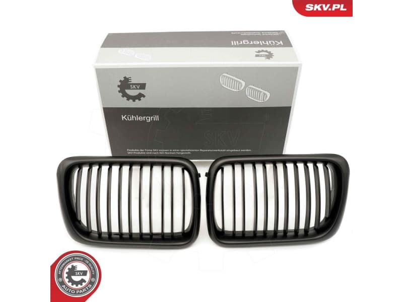 Radiator Grille 66SKV051