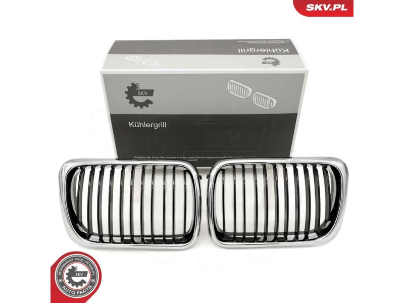 Radiator Grille 66SKV053