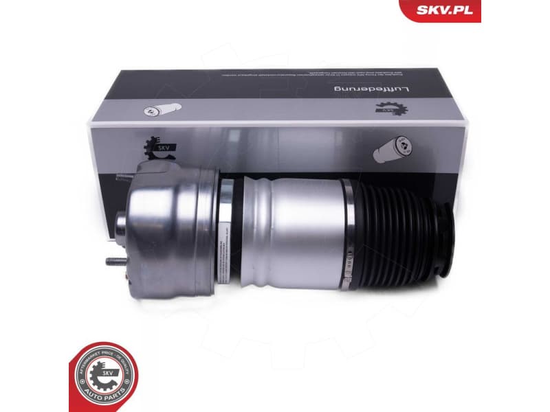 Air Suspension Strut 58SKV079