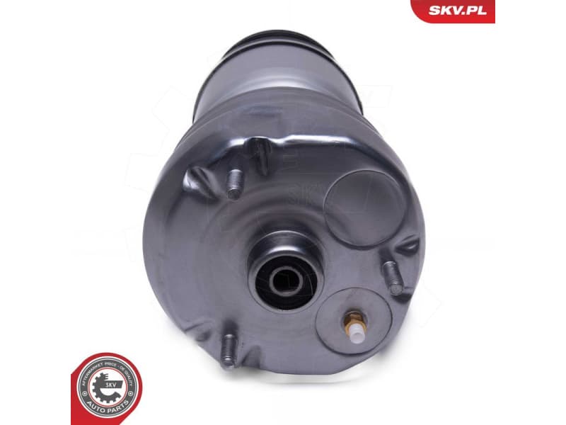 Air Suspension Strut 58SKV079 - image 3