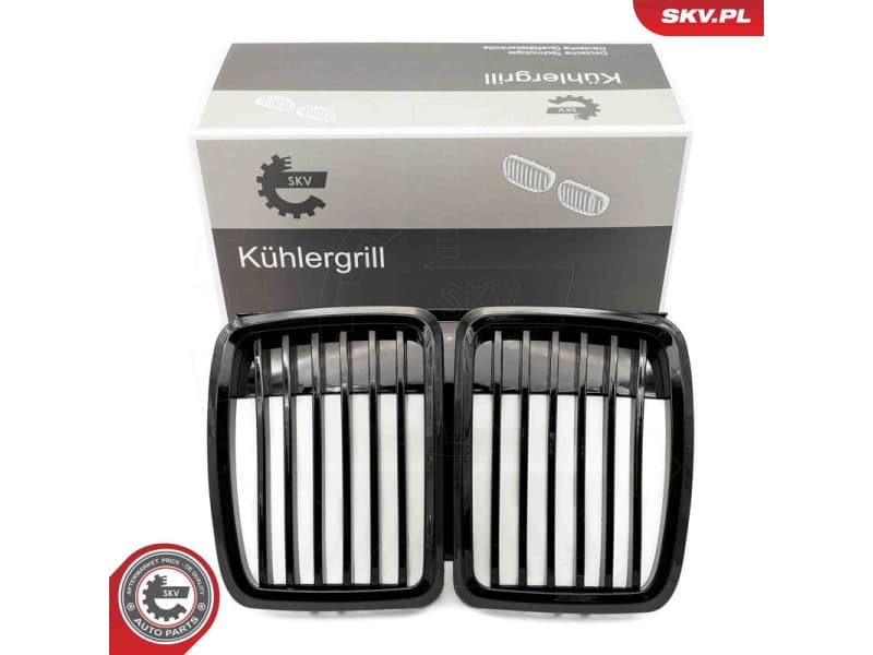 Radiator Grille 66SKV146