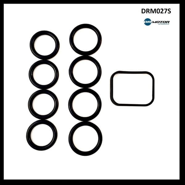 Gasket Set, intake manifold DRM027S