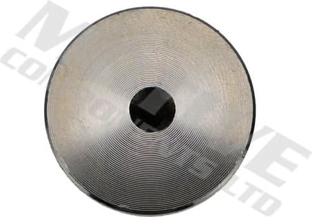 Intake Valve IV10011