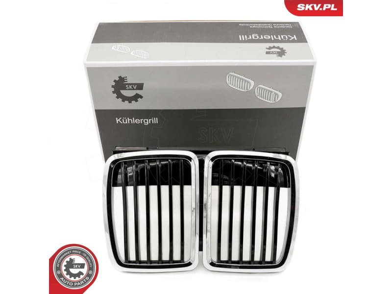 Radiator Grille 66SKV148