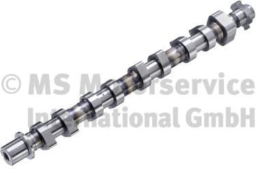 Camshaft 50056019