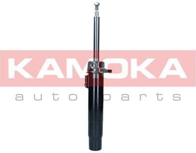 Shock Absorber 2000451