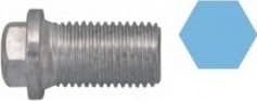 Screw Plug, oil sump 220120S