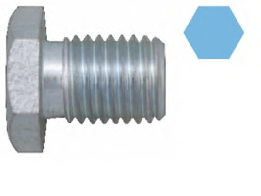 Screw Plug, oil sump 220149S