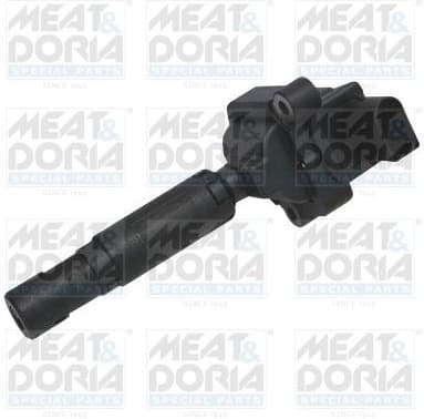 Ignition Coil 10661