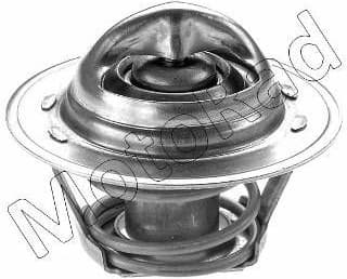 Thermostat, coolant 202-82K