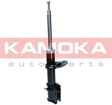 Shock Absorber 2000087