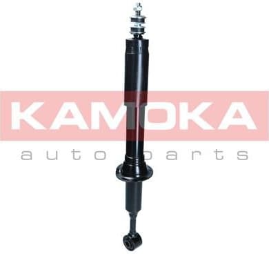 Shock Absorber 2001155