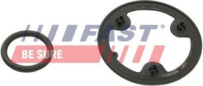 Seal Ring, oil cooler (lubrication) FT48954