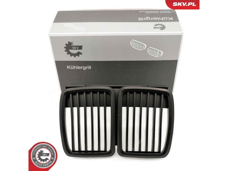 Radiator Grille 66SKV147