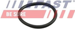 Seal Ring, coolant pipe FT49919