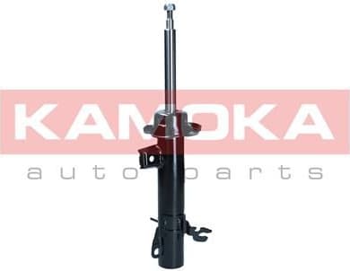 Shock Absorber 2001087