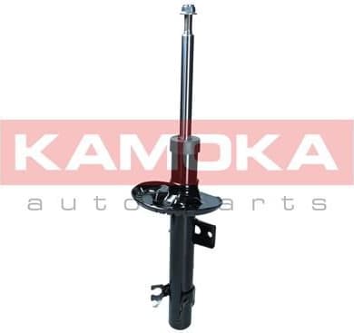 Shock Absorber 2001183