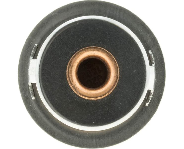 Thermostat, coolant 308-82