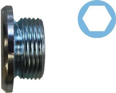 Screw Plug, oil sump 220081H - image 3