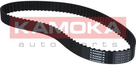 Timing Belt 7000019