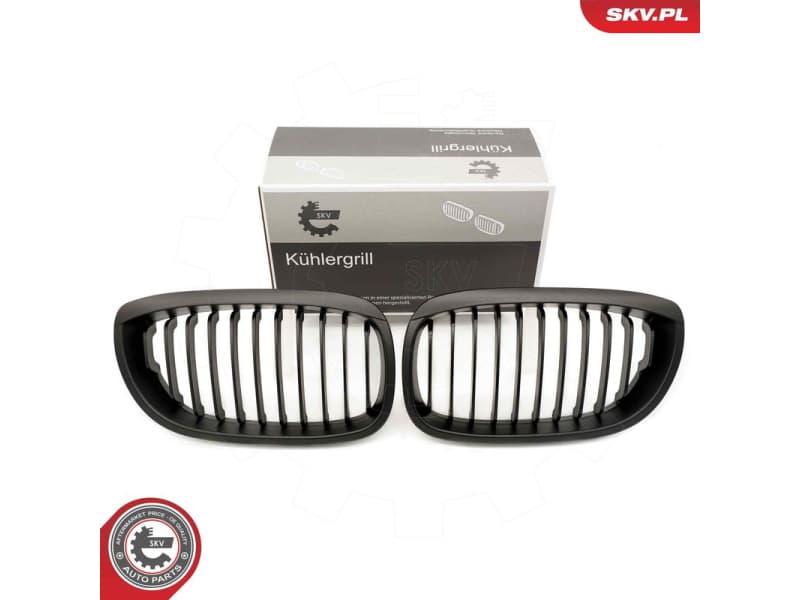 Radiator Grille 66SKV071