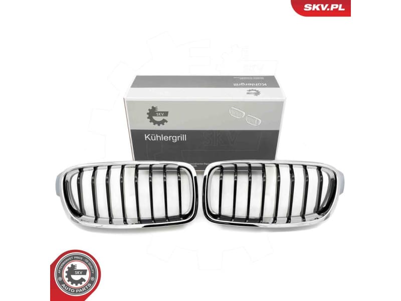 Radiator Grille 66SKV122