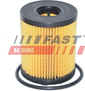 Oil Filter FT38060