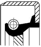 Shaft Seal, crankshaft 12011464B - image 2