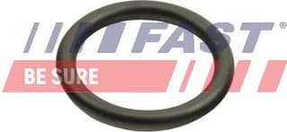 Seal Ring, oil cooler (lubrication) FT48940