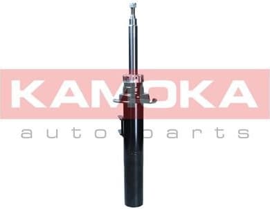Shock absorber front 2001113