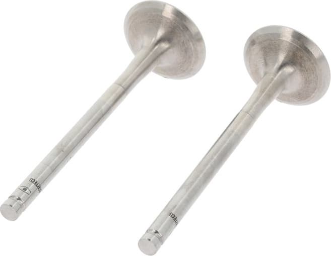 Exhaust Valve 550889B - image 2