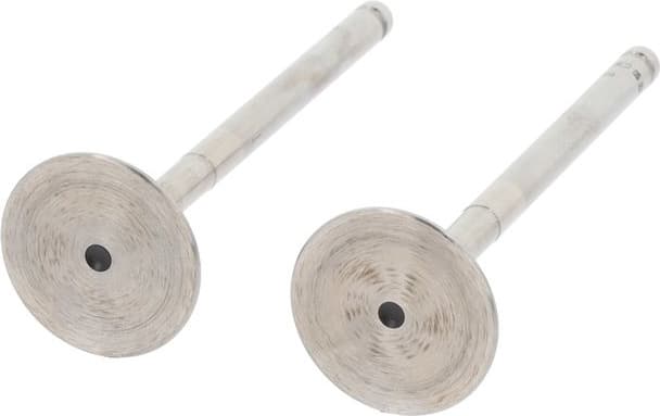 Exhaust Valve 550889B - image 3