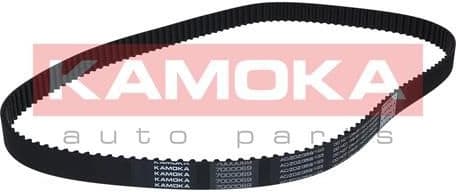 Timing Belt 7000069