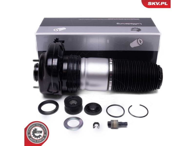 Air Suspension Strut 58SKV082