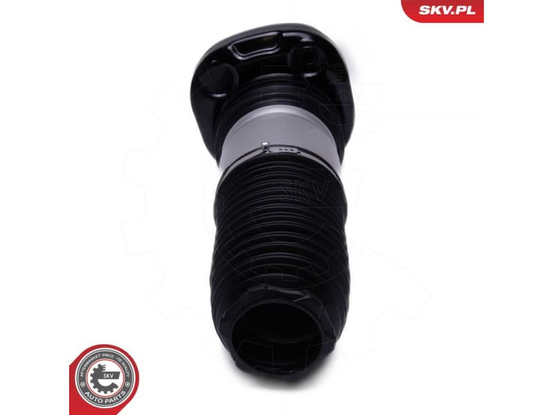 Air Suspension Strut 58SKV082 - image 2