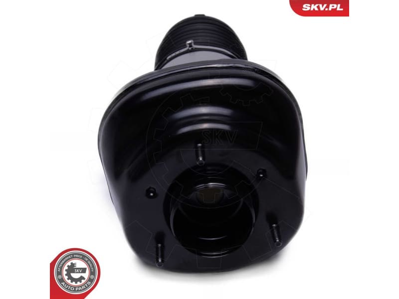Air Suspension Strut 58SKV082 - image 3
