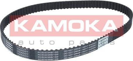Timing Belt 7000037